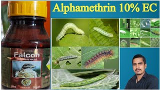 alphamethrin 10 ec uses in hindialphamethrin 10 ecalphamethrin 10 ec tamil [upl. by Ellehsem]