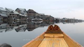 Exploring the Dal Lake [upl. by Ardnikal]