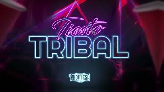 La Promesa del Bajío  Tiesto Tribal Audio Oficial 2024 [upl. by Senn]