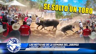 SE SOLTO UN TORO EN UN JARIPEO 🗞📰 [upl. by Ynohtnanhoj]