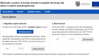 Jak wypełnić wniosek na finansowanie kapitału obrotowego [upl. by Nnayt]