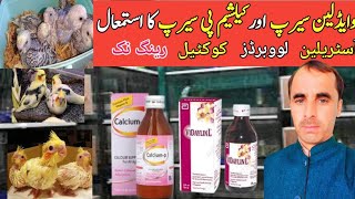 How to use Vidaylin syrup and Calciump syrup Cocktail parrot best tips breedingbukhari 5 aviary [upl. by Mandell]