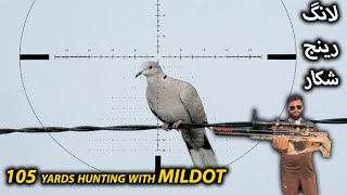 Long Range Doves Hunting  105 Yads Clean Shots  San projectiles airgunhunting [upl. by Ayadahs]