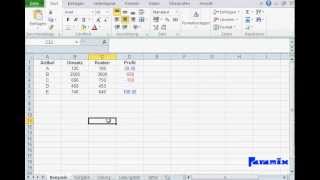 Excel Grundlagen Benutzerdefinierte Formatierung von Zahlen [upl. by Platt244]