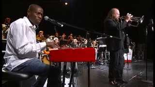 Roachford  Pop Muzak  SWR Big Band [upl. by Akimal]