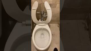 Vitromex Apolo toilet at Holiday Inn [upl. by Mccoy]