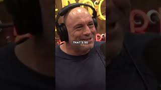 Joe Rogan on Kangaroos kangaroo joerogan shorts [upl. by Robbin]