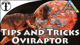 Why and How to Tame a Phiomia  ARK  Survival Evolved Tips and Tricks [upl. by Ydaf706]