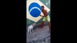 ASOMBROSO Perro Bailando Samba En Brasil Wao  Amazing Dog Dancing In Brazil  Argenis Fels [upl. by Eittik]