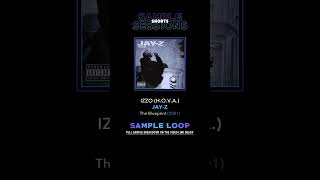 Izzo HOVA  JayZ Original Sample Loop [upl. by Nidla]