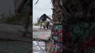 SUNKEN CITY TREE NOSESLIDE [upl. by Ydarb]