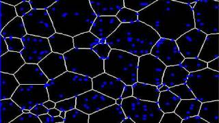 Grain growth in presence of lowmobility particles [upl. by Isabel]