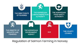 Regulation of Salmon Farming in Norway [upl. by Ioves]