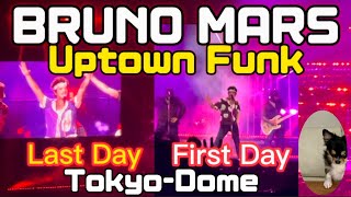 【BRUNO MARS 】『Uptown Funk』Live at TokyoDome Jan2024 最終日と初日☆オーラス曲どっちもノリノリ東京スゴすぎっwワンコもww [upl. by Mayhew]