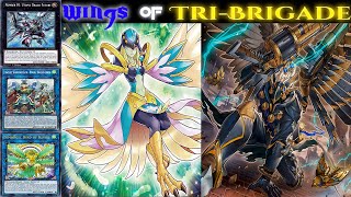 tribrigade lyrilusc deck 2024yugioh master duel [upl. by Aciras]