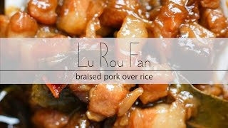 Taiwanese Lu Rou Fan 台式卤肉饭 [upl. by Anaytat679]