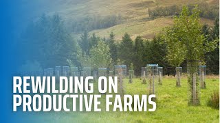 Rewilding on Productive Farms [upl. by Jerroll165]