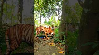 O my god tiger 🐅 tiger animals lion new trending [upl. by Tarrel]