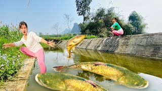 The girl uses a motor to drain the water and catch all the big fish living her daily life [upl. by Caines]