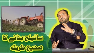 Dairy Silage Making Process  سائیلج بنانے کا صحیح طریقہ [upl. by Regnig919]