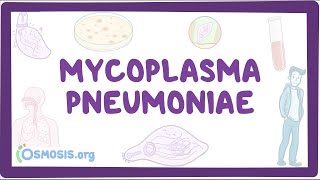 Mycoplasma pneumoniae  an Osmosis Preview [upl. by Haorbed]