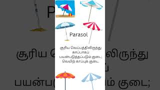 Meaning of parasol [upl. by Marji]