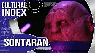 SONTARAN Cultural Index [upl. by Fredric57]