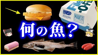 【ゆっくり解説】マックのフィレオフィッシュは何の魚⁉️「スケソウダラ」とは何者なのか？を解説トランプ大統領の好物⁉️タラコにかまぼこ…貴重な水産資源 [upl. by Anilec]