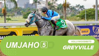 20241016 isiZulu Hollywoodbets Greyville Race 5 won by ZOOMBOMBER [upl. by Weitman561]