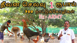 🐓🐣1 கோழிக்கு 1 ரூபாய் தீவன செலவில் 700 நாட்டுக்கோழி வளர்க்கும் முன்னாள் ராணுவ அதிகாரி pannaiveedu [upl. by Ximenes]