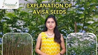 EXPLANATION OF A VISA SEEDS  Thanneu Suresh  Srinivasa Agro Seeds [upl. by Fedak]