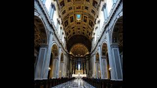 La Basílica de San Pedro basilica vaticano italia [upl. by Lyndon845]