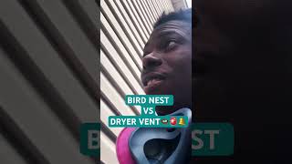 DRYER VENT birdnest dryerventcleaning youtubemilestone youtubers shotrs watchhours subscriber [upl. by Elsbeth]