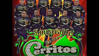 JESUS MALVERDE IMPARABLE BANDA CERRITOS [upl. by Caty]