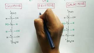 Carbohydrates  Monosaccharides  Glucose  Fructose  Galactose [upl. by Stein961]