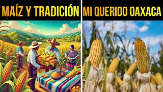 👨‍🌾🌽Así se Cosecha Maíz en Oaxaca Tradición y Respeto al Trabajador [upl. by Malina]