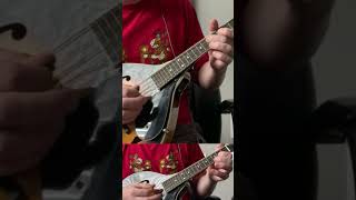 Nirvana quotPennyroyal Teaquot guitar solo on mandolin [upl. by Esinert]