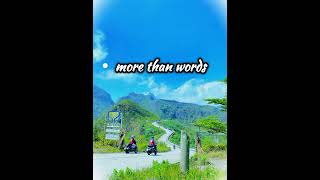 more than wordscover by ervanblueservideo lyrics [upl. by Roley]