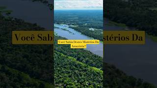 Os Mistérios Incríveis da Amazônia curiosidades mundoanimal mundoselvagem [upl. by Attem170]