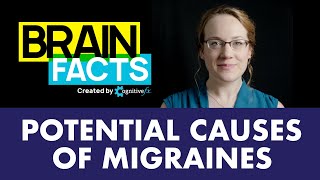 Potential Causes of Migraines amp Headaches  Brain Facts shorts [upl. by Derag952]