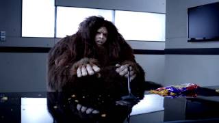 Bigfoot works for Internet Explorer 8 as a privacy and security expert [upl. by Burnaby928]