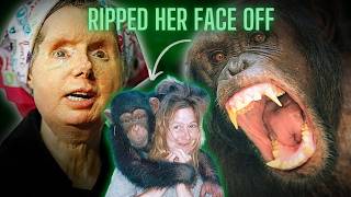 How a Pet Chimp Turned Deadly The Attack on Charla Nash [upl. by Ahseinaj]