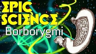 Borborygmi  Epic Science 7 [upl. by Rab]