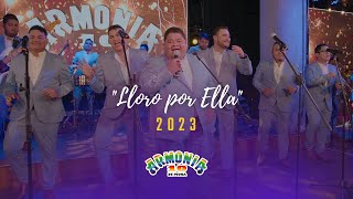 Armonía 10  Lloro por ella  Video Oficial [upl. by Adnical646]