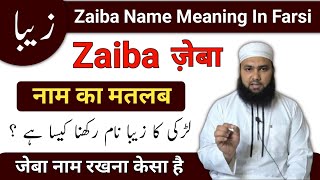 Zaiba Name Meaning In Urdu  Zaiba Naam Ka Matlab  Zaiba Naam Ke Mayne  LafzeQadeerOfficial [upl. by Krum148]