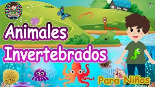 ¿Qué son los invertebrados🐙🐛🦋🐌Animales invertebrados para niños Explicación sencilla con ejemplos [upl. by Anelim]