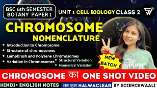 Chromosome Structure amp Function  Chromosomal Nomenclature BSc 6th semester Paper 1 Unit 1 🔥 [upl. by Ecnerat804]