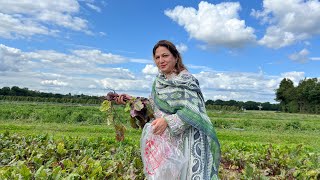 Trip to vegetable farm  Pakistan ke yaad a gaye  funday with family [upl. by Jeremie]