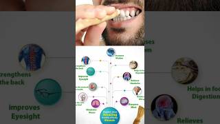 Miswak ke faydefacts history islamicstatus motivation ytshort science miswak prophetmuhammad [upl. by Imailiv]