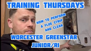 How to Full Service The Worcester Greenstar Junior and RI Training Thursdays [upl. by Celestyna665]